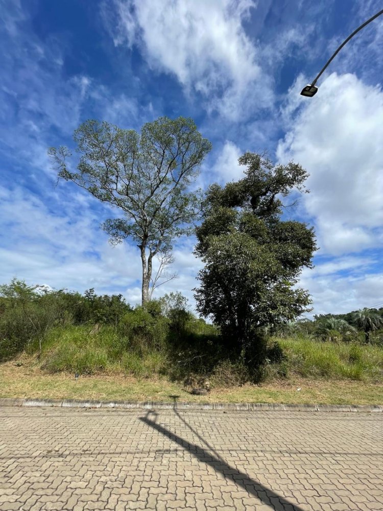 Terreno em Condomnio - Venda - So Lucas - Viamo - RS