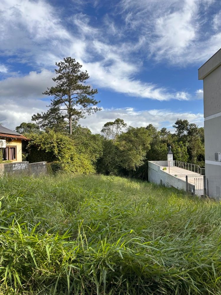 Terreno em Condomnio - Venda - So Lucas - Viamo - RS